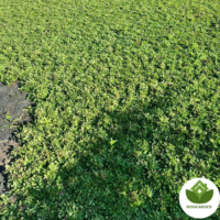 Thiết kế chưa có tên (3)