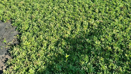 Thiết kế chưa có tên (3)