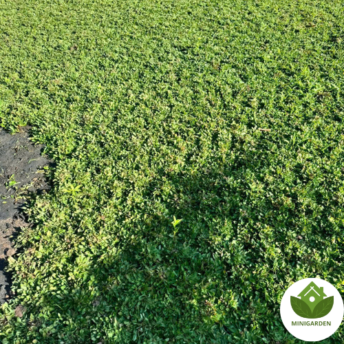 Thiết kế chưa có tên (3)