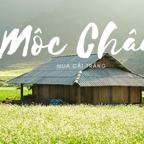 Mộc Châu