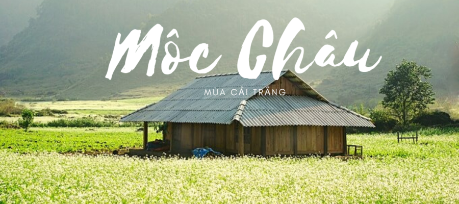 Mộc Châu